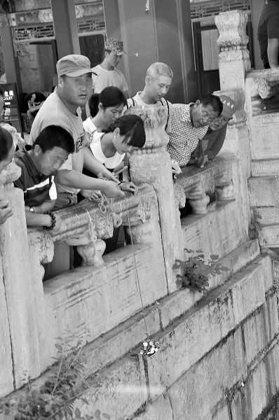  4 投石吸金 男子与旁边同伙用磁石吸上大把硬币，记者粗算，一次金额至少有四十元