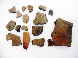 大学生发现的青铜器残件及部分陶片