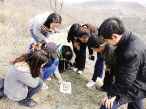 辨认陶片种类(图片由哈师大提供)