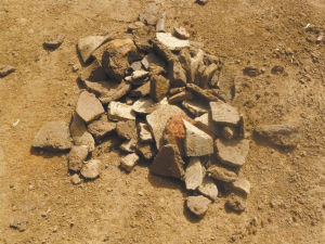 出土的部分陶片。