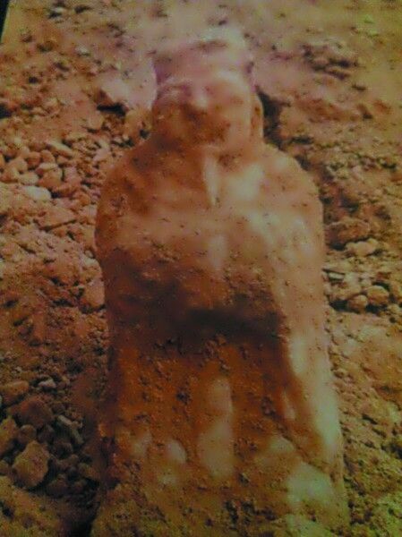 古墓中出土的石人 