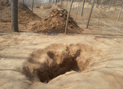 记者在塚子周围发现的盗洞 