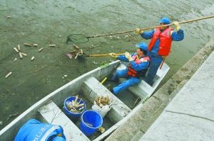 北京环卫集团工人在筒子河打捞垃圾杂物。 刘威摄