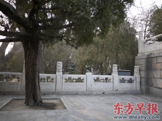 颐和园南湖岛上涵虚堂南侧月台的第二层西侧北数第三个望柱头丢失。下图为丢失望柱头的切口。早报记者 许荻晔 图