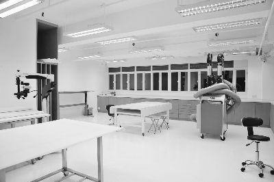 刚刚成立的Beautiful Mind艺术修复工作室