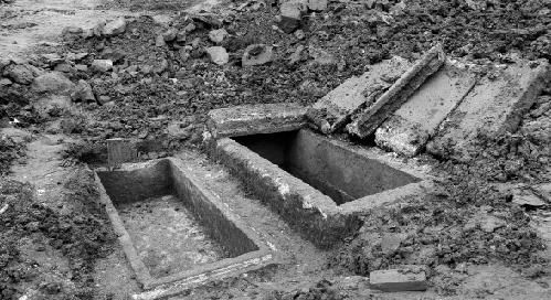 金华出土浙江第一棺