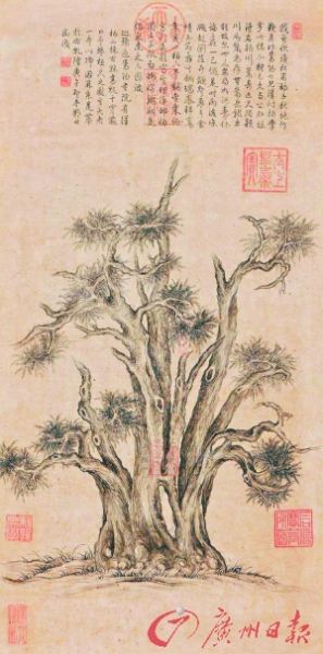 《嵩阳汉柏图》