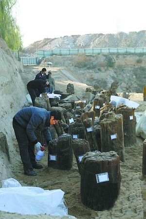 考古人员在清理和保护厨城门一号桥遗址。