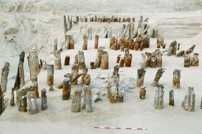 厨城门一号桥发掘局部（陕西省考古研究院供图）