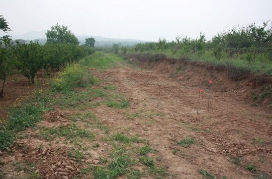 北侧主墓葬勘探发现的陪葬坑 陕西省考古研究院供图