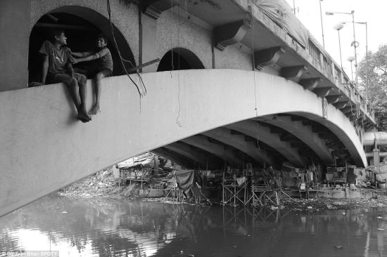 阿特金斯环保摄影大赛作品