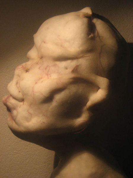 荷兰艺术家用二手丝袜创作怪诞人像(组图)