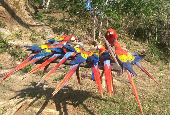 英动物园摄影大赛获奖作品