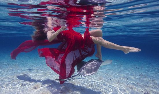 美女与鲨鱼同游