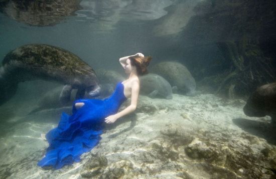 美女与鲨鱼同游
