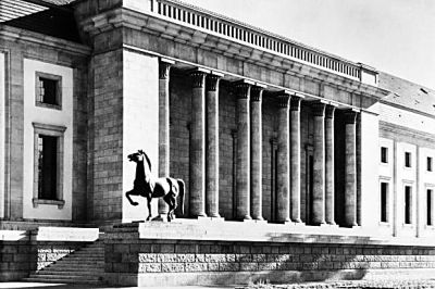 前进中的骏马 资料照片