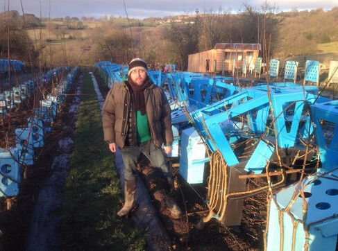 英国设计师地里