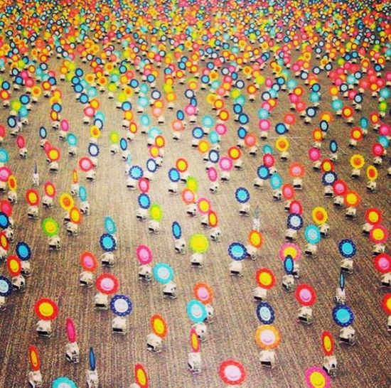 此件作品将同时安装在作品《舞动的太阳花》(文章开头作品)下展出，每一朵花都设有光伏太阳能电池，会不断的移动并且发光，将欢迎来自全世界的艺术爱好者