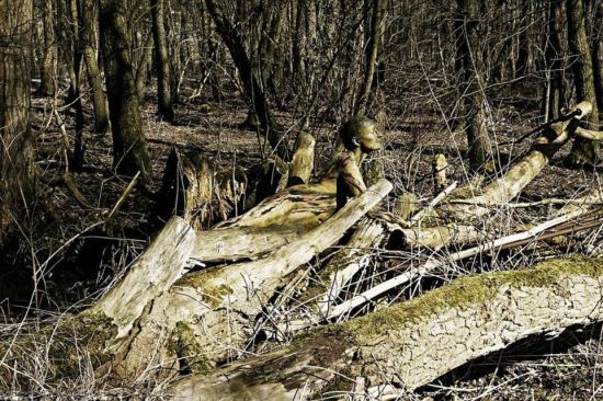 德艺术家彩绘模特“隐身”树林
