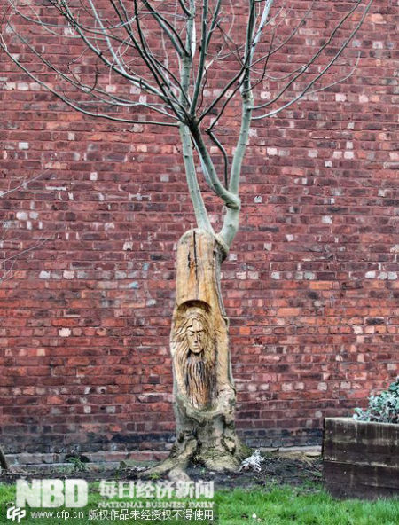 树干雕塑艺术。
