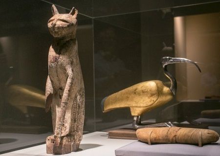 展品有猫木乃伊棺材(左)和朱鹭棺材。