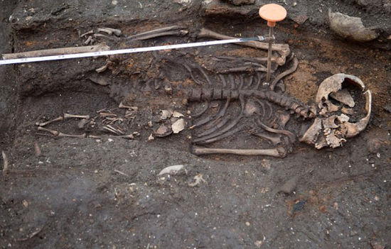 未来四周将有60名考古学家在这里进行考古挖掘。（网页截图）