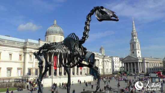 德国艺术家的马骨架雕塑站上特拉法加广场（摄影：白天行）