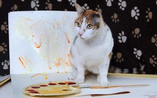 英单耳猫咪现惊人艺术天赋 被称猫界梵高