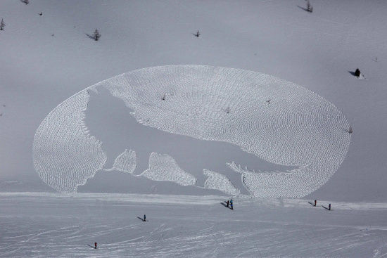 图为“狼嚎图”。</p>

<p>　　报道称，贝克只用了一个普通的指南针、一双雪鞋及草图，就能在雪地及结冰的湖面上创作。他创作的“狼嚎图”，画面十分壮观瑰丽。</p>

<p>　　除了“狼嚎图”，他还在另一片雪地上创作了“枫叶图”以及在冰封湖面上创作了“雪花图”。</p>
<!-- publish_helper_end -->
                 

					<div class=