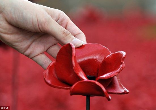 伦敦塔陶瓷罂粟花收益流向引民愤 艺术家遭威胁