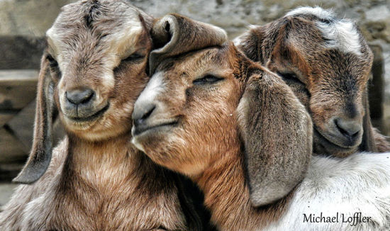 摄影师为治抑郁症环球穷游3年