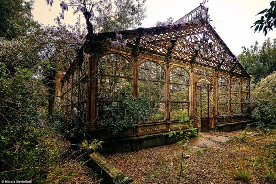 该建筑被人们弃置多年，大自然又重新主宰了这里。（网站截图）