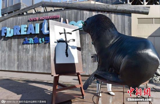 日本海狮写毛笔字迎新年