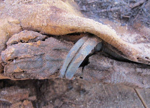 埃及公墓出土的18月大的女婴木乃伊，手腕上还带着手镯。（网页截图）