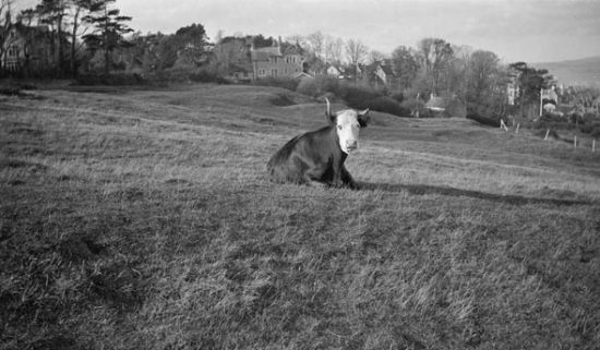 泰特馆藏数码化52000件英国艺术家物品