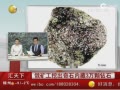 矿工发现奇石
