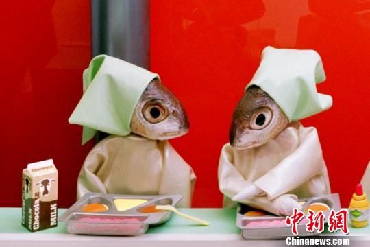 安妮·凯瑟琳的作品（资料图）　安妮·凯瑟琳　摄