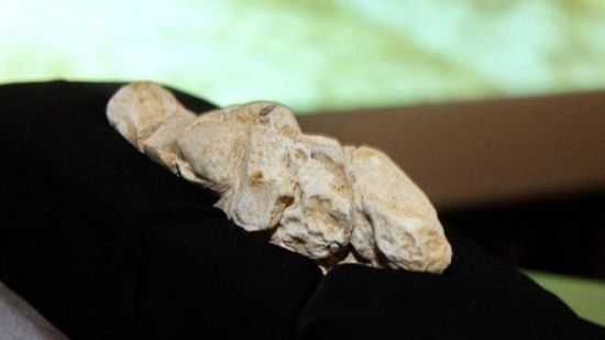 古学家今年夏天在法国亚眠(Amiens)偶然发现这尊新石器时代的塑像，这是半世纪以来第一次发现此类文物。