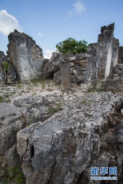 这是11月26日在坦桑尼亚巴加莫约东南拍摄的卡奥莱遗迹，其建筑主体的珊瑚石清晰可见。