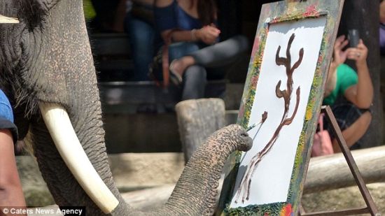 大象毕加索：象鼻控制画刷绘出令人惊叹艺术作品