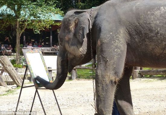 大象毕加索：象鼻控制画刷绘出令人惊叹艺术作品