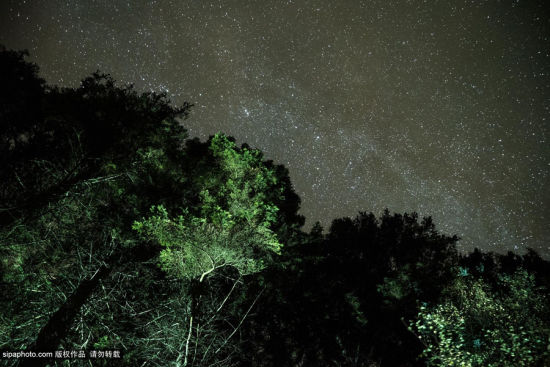 当地时间2014年10月，英国，摄影师摄影师Andrew Whyte镜头下的英国夜景。图为凌晨两点钟，诺森伯兰国家公园基尔德水库上空的闪闪繁星。