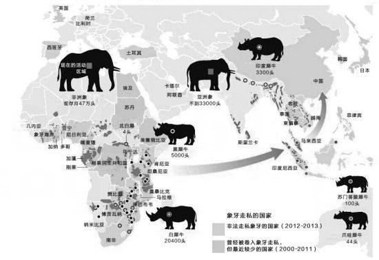美国审理涉案金额最大的象牙走私案