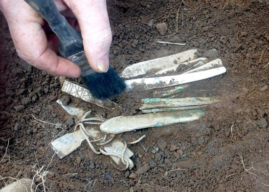 最初，麦克伦南利用金属探测器，在地表以下60厘米处发现数十个银臂环和银锭。（网页截图）