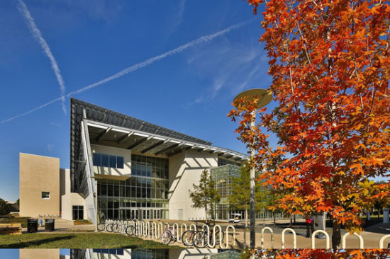 达拉斯艺术馆联合德克萨斯大学启动艺术史学院