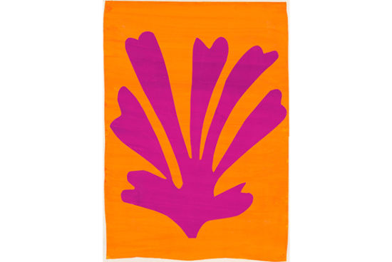 泰特美术馆宣布马蒂斯展成为最成功展览