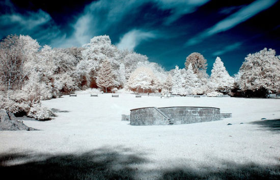 这些看起来显示冰冻场景的照片仿佛是冬季拍摄的，但实际上是彭宁顿在夏季拍到的。