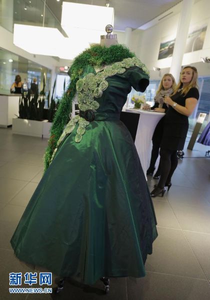 癌细胞晚装拍卖