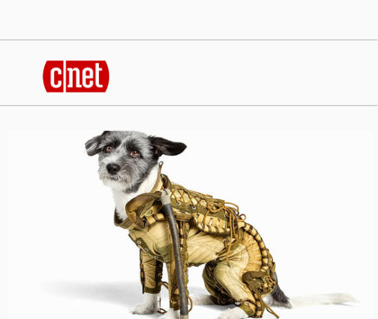 前苏联特制的小狗太空服13日在网上拍卖。