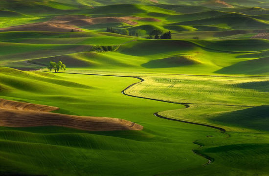 摄影师拍美国广袤草原美若仙境